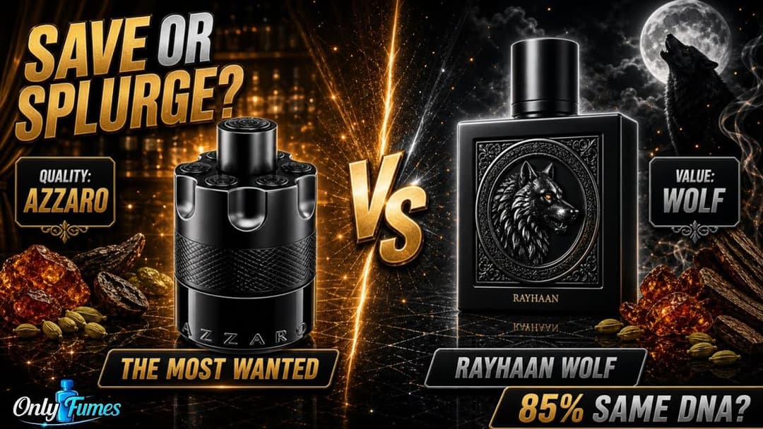 Azzaro The Most Wanted vs Rayhaan Wolf: Save or Splurge? #rayhaan #azzaro #fragrance #cologne