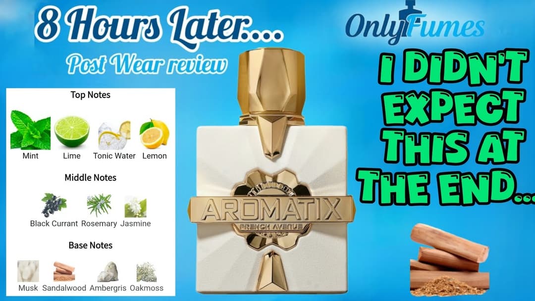 A very unexpected dry down | Platine Blanc Aromatix X French Avenue | Post Wear Review #fragrance