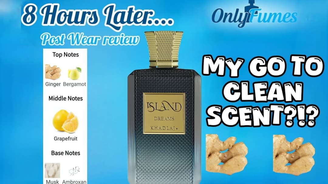 The perfect after shower scent | Island Dreams Khadlaj | Post Wear| #fragrance #khadlajperfumes