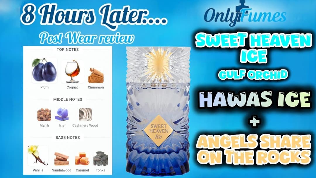 Gulf Orchid Sweet Heaven Ice Dry Down & Post Wear Review – Balanced Sweet and Smooth #cologne