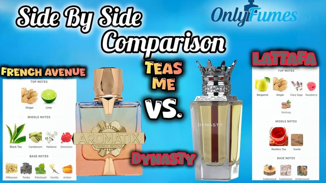 Lattafa Dynasty vs Teas Me Full Comparison Review | Which Is For you? | #lattafa #frenchavenue